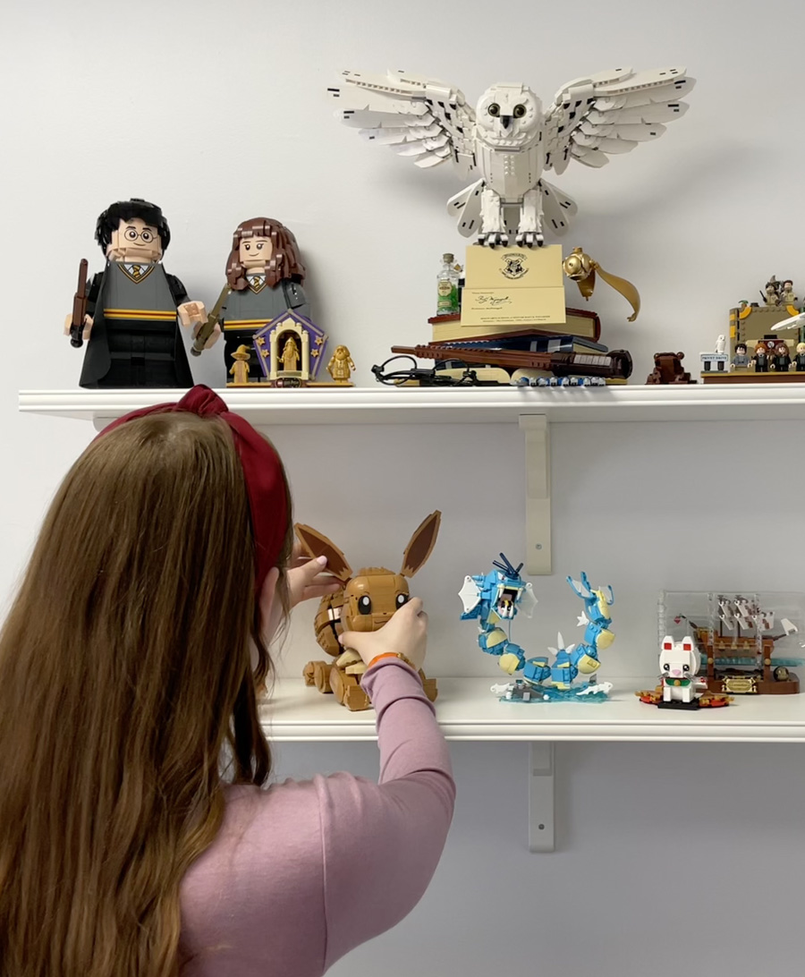 Office with figure collection